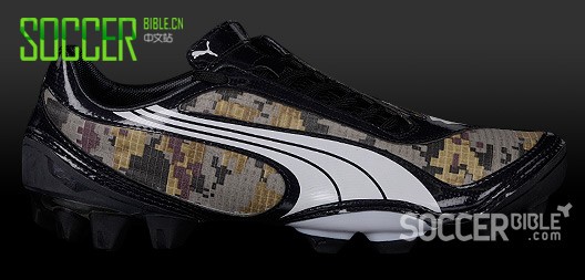 ٶѥV1.08 camouflageԲʣ