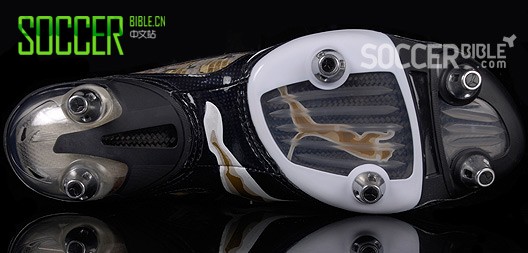 ٶѥV1.08 camouflageԲʣ