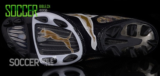 ٶѥV1.08 camouflageԲʣ