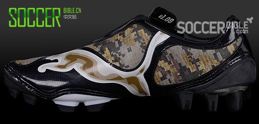 ٶѥV1.08 camouflageԲʣ