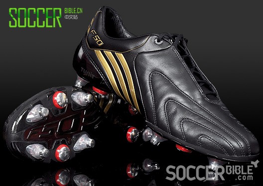 ĺרҵҽ¶ϴ˹F50i Premiumװ