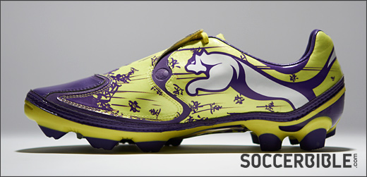 SoccerBibleʷȡ½ıٶѥ