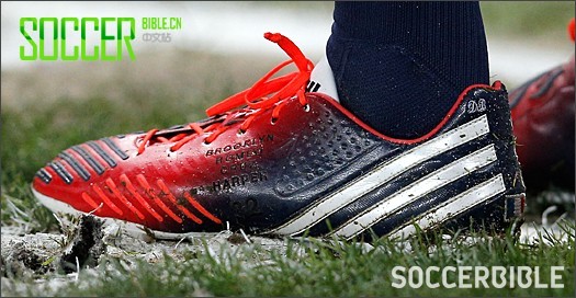 ۽: ˺ķ¿Predator LZ PSGɫ