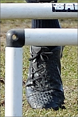 ڲЬ2013 Adidas PredatorЬ