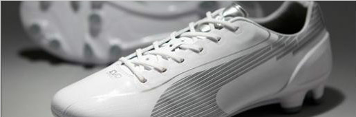 PUMA evoSPEED 1 Ghost /ɫ