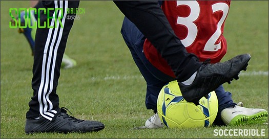 ˺ķӲ³ּPredator II - Ь