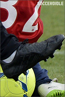 ˺ķӲ³ּPredator II - Ь