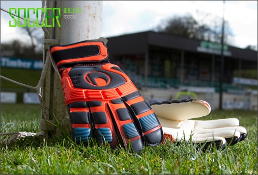 ʵսԣʨCerberus/Ȯ Absolutgrip HandbettŽ