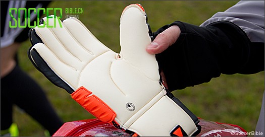 ʵսԣʨCerberus/Ȯ Absolutgrip HandbettŽ