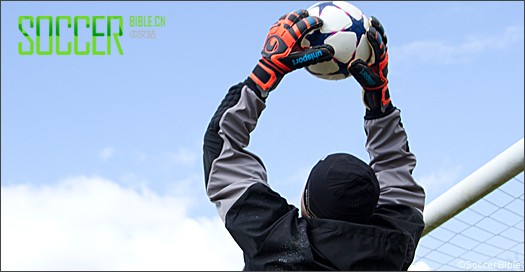 ʵսԣʨCerberus/Ȯ Absolutgrip HandbettŽ