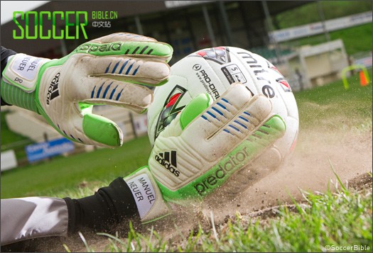 ʵսԣAdidas Pred.Pro ŵרԱ 