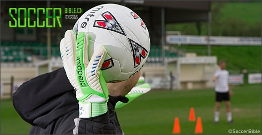 ʵսԣAdidas Pred.Pro ŵרԱ 