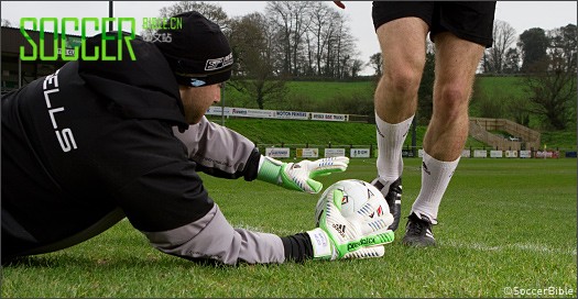 ʵսԣAdidas Pred.Pro ŵרԱ 