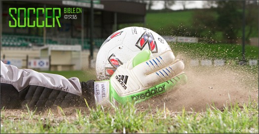 ʵսԣAdidas Pred.Pro ŵרԱ 