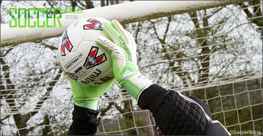 ʵսԣAdidas Pred.Pro ŵרԱ 