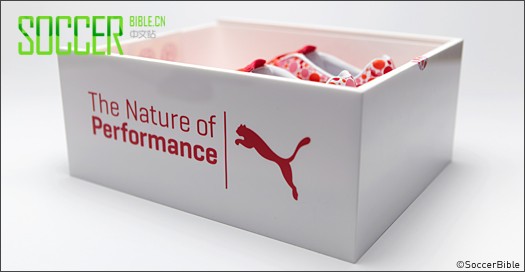 ɷ˹-ɭ PUMA evoSPEED CamoĿ   - 