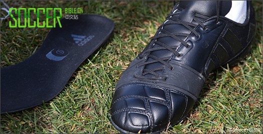 ά˹԰ϴ˹ Nitrocharge  Ь 