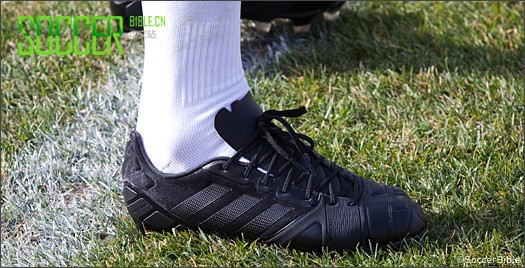 ά˹԰ϴ˹ Nitrocharge  Ь 