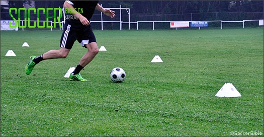 adidas Predator LZ II 