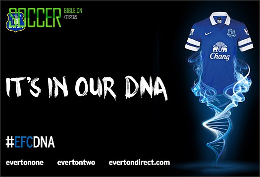 Nike Serve Up 2013/14 Everton Home Kit - Football Shirts