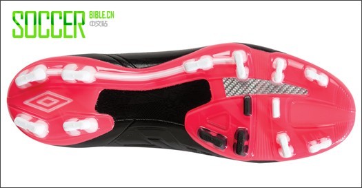 𱦷GeoFLAREϵսѥЬ