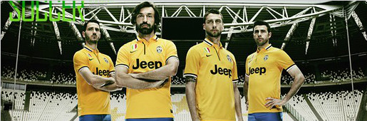 ͼ˹龫񡱰2013/14 Nike ͳ - 