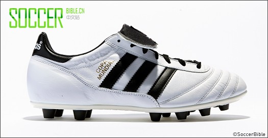 SoccerBibleʷȡ6˫ѰɫƤЬ