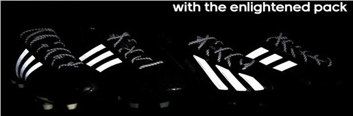 ϴ˹The Enlightenedϵ