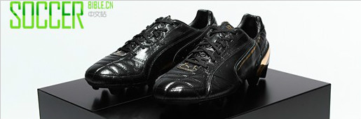 £ӮȡݻPUMA Kingչʾ - 