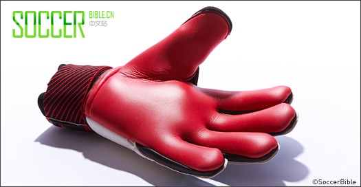 adidas Predator Pro 诺伊尔特别版手套 - Goalkeepers