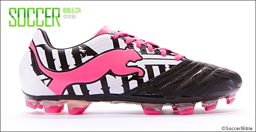 Top 5 PowerCat 1.12 ɫ 