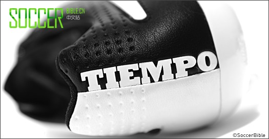 Nike Tiempo Legend V - /