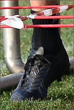 #Աʵ#ѵϴһPredator