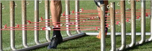 #Աʵ#ѵϴһPredator