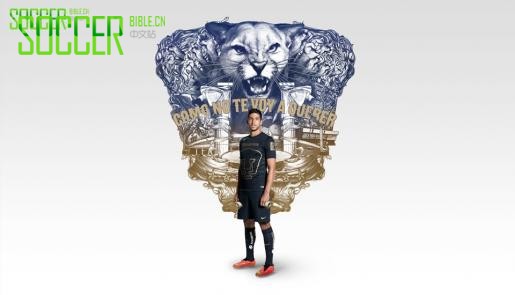 Nike ���� ����ʨ���ֲ� 2014/15��������