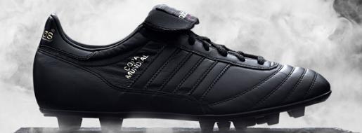 ϴ˹ȫڰCopa MundialЬʥ 