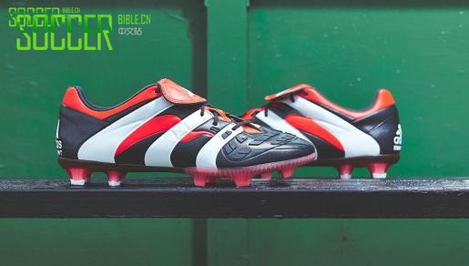 ϴ˹ӥInstinct Accelerator LE