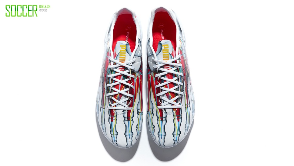puma-evospeed-xray-img5