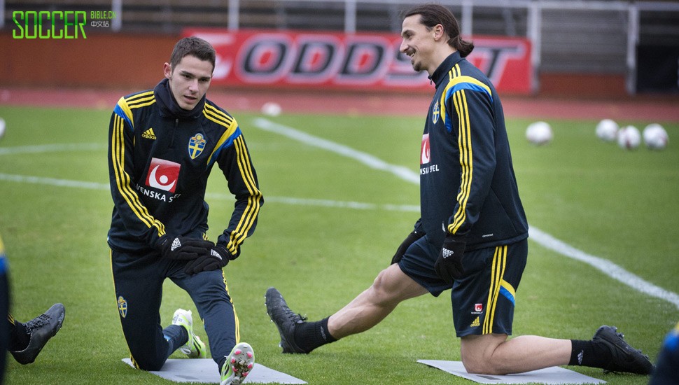 what_next_for_zlatan_img4