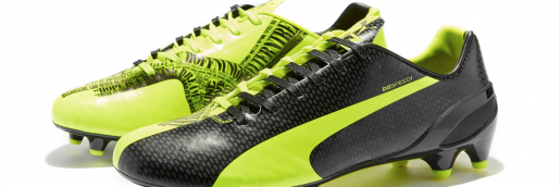 evoSPEED˹רTricksѥ