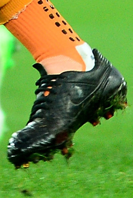 ȫսѥһ - 29/12/2014