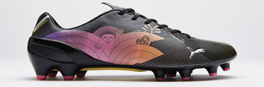 evoSPEED 1.3 Africaսѥ