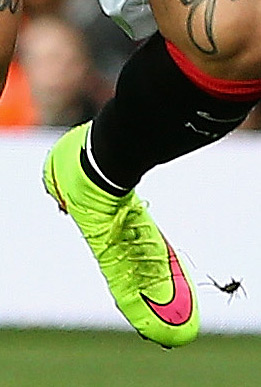 ȫսѥһ - 02/03/2015