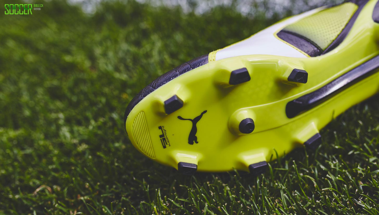 king-sl-ii-puma-img1