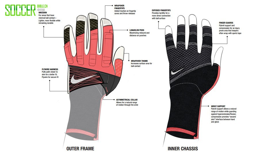 Rayyan TohΪǴͿµŽ׸