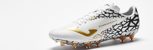 JomaƳرھChampions CupɫЬ