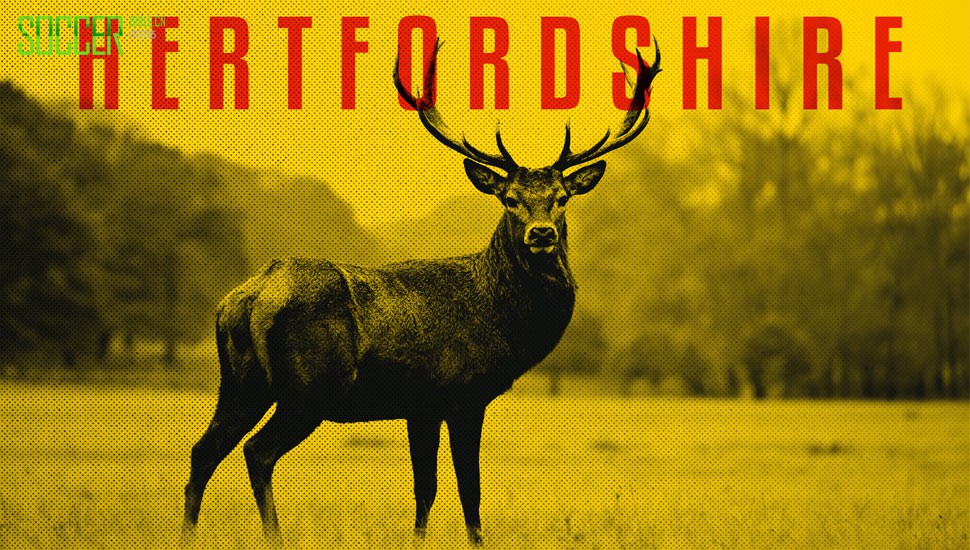 watford-concept-re-brand-2