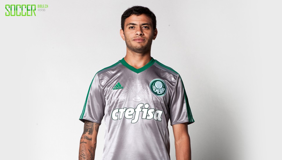palmeiras-3