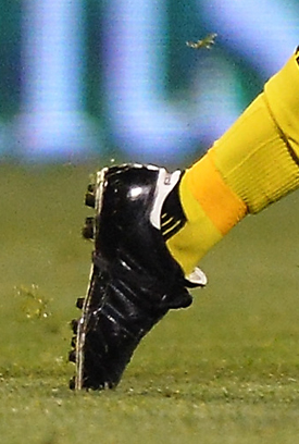 ȫսѥһ- 07/12/2015