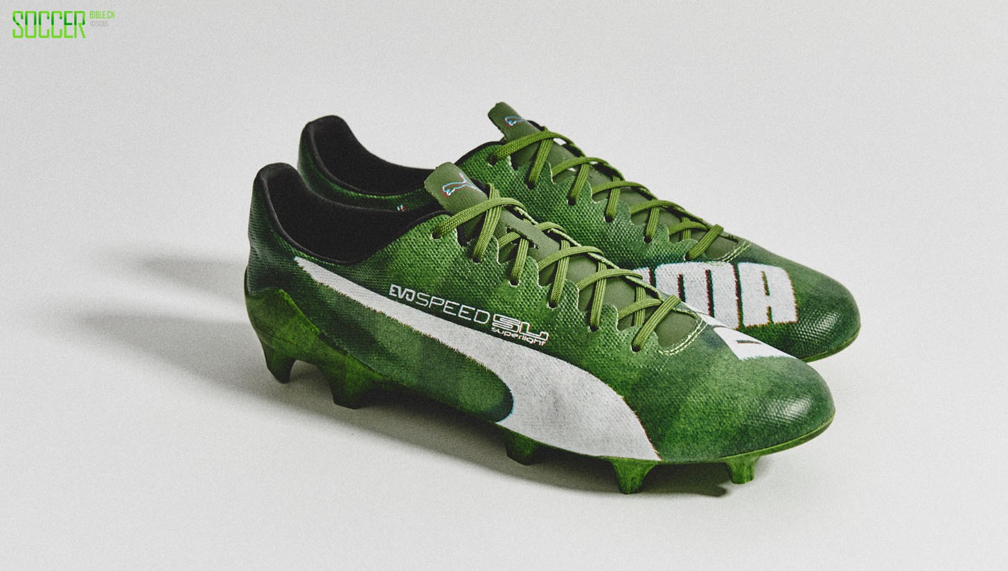 evospeed-grass-sl-3